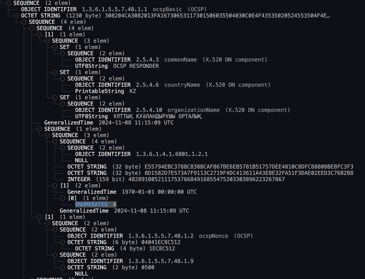 photo_2024-11-11_13-34-02